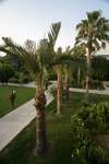 Simena Holiday Resort & SPA 